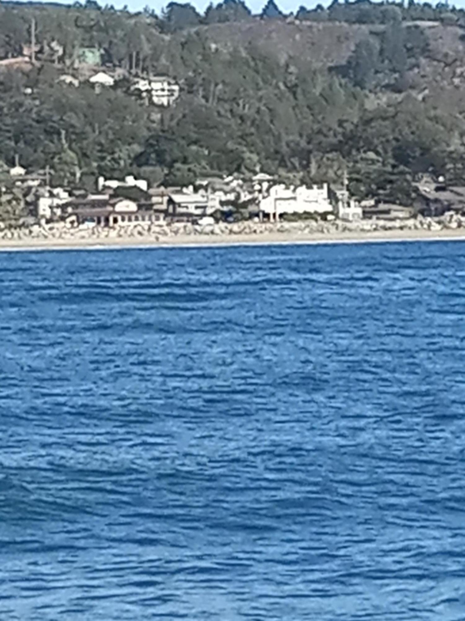 The Oceanfront Stay On Miramarbeach Hmb El Granada 外观 照片